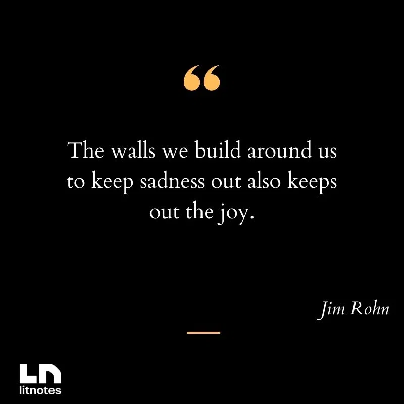 The walls we build around us to keep sadness out also keeps out the joy.